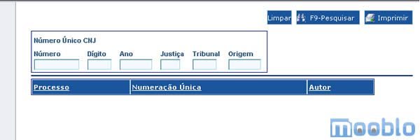 Observe os dados a serem preenchidos para consultar processos