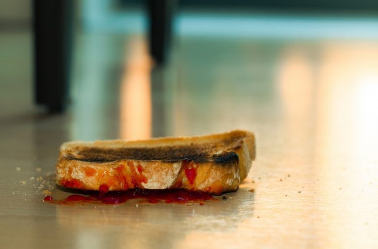 A comida caiu ao chão? Regra dos cinco segundos é real